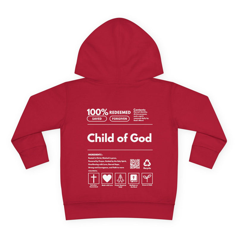 "CHILD OF GOD" TODDLER PULL OVER HOODIE